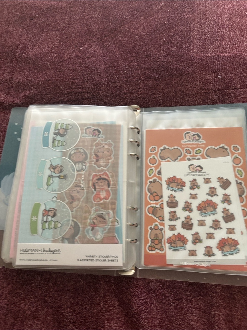 LARGE HADMAN & Chub girl Sticker collection +binder - Picture 11 of 15